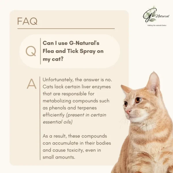 100% Natural Flea & Tick Spray - Image 3