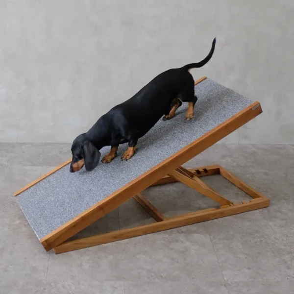 Pet Ramp