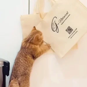 Shopping Bag - Cat Hideaway