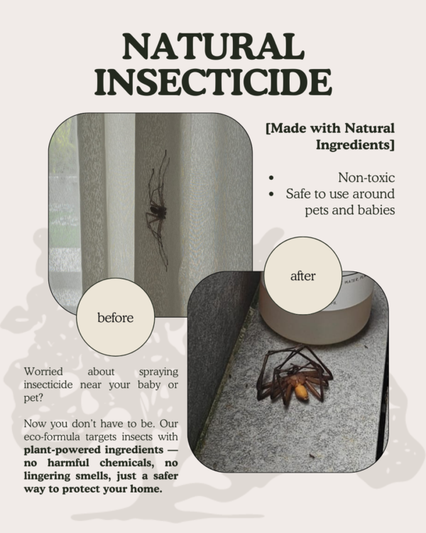 Natural Insecticide - Image 4
