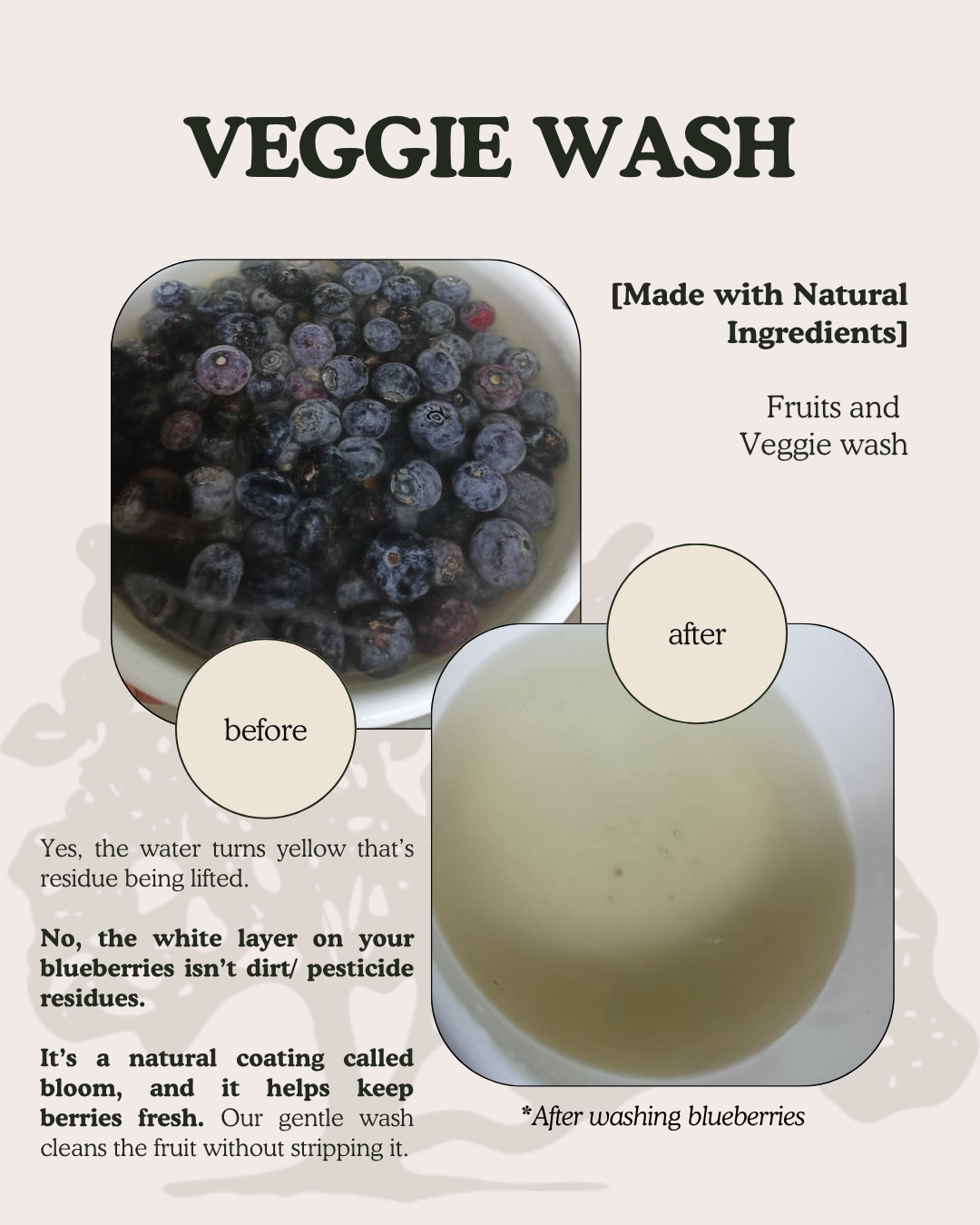 Fruits & Veggie Wash - Image 6