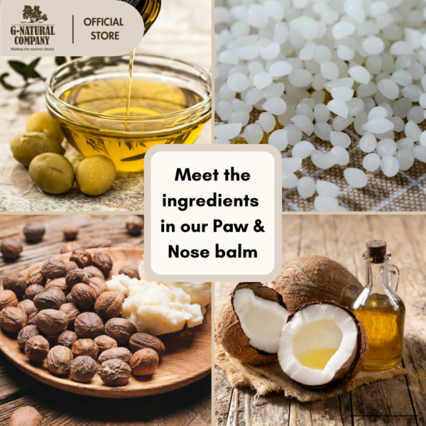 Paw and Nose Balm - Image 4