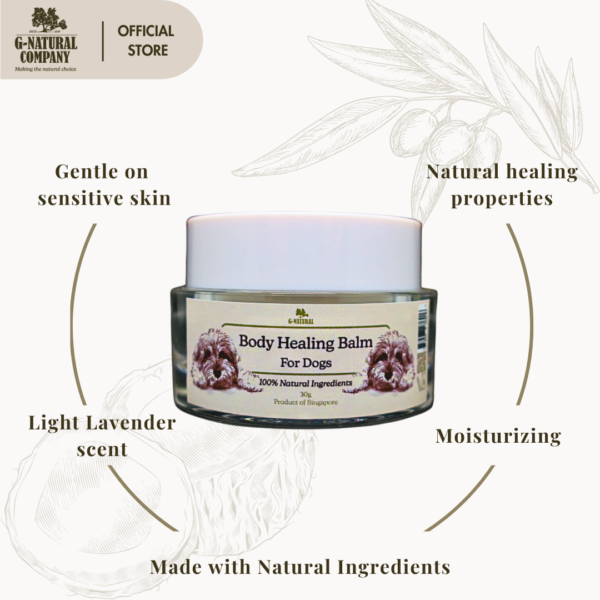 Body Healing Balm - For Dogs - Image 2
