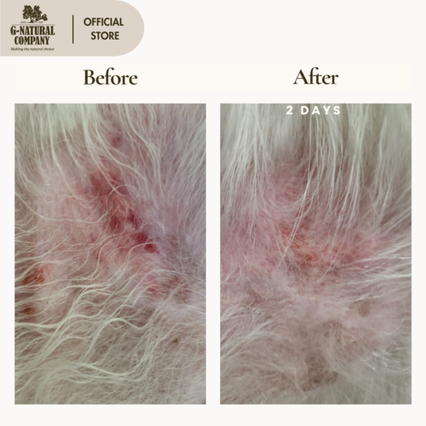 Body Healing Balm - For Dogs - Image 3