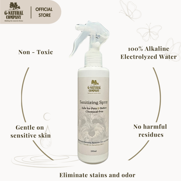 Sanitizing Spray - Image 4